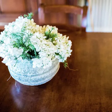 Mansion In Sant'angelo With Valley Views SantʼAngelo in Vado