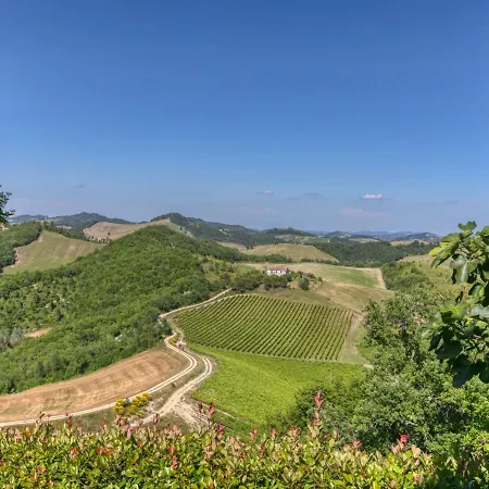 Mansion In Sant'angelo With Valley Views * SantʼAngelo in Vado